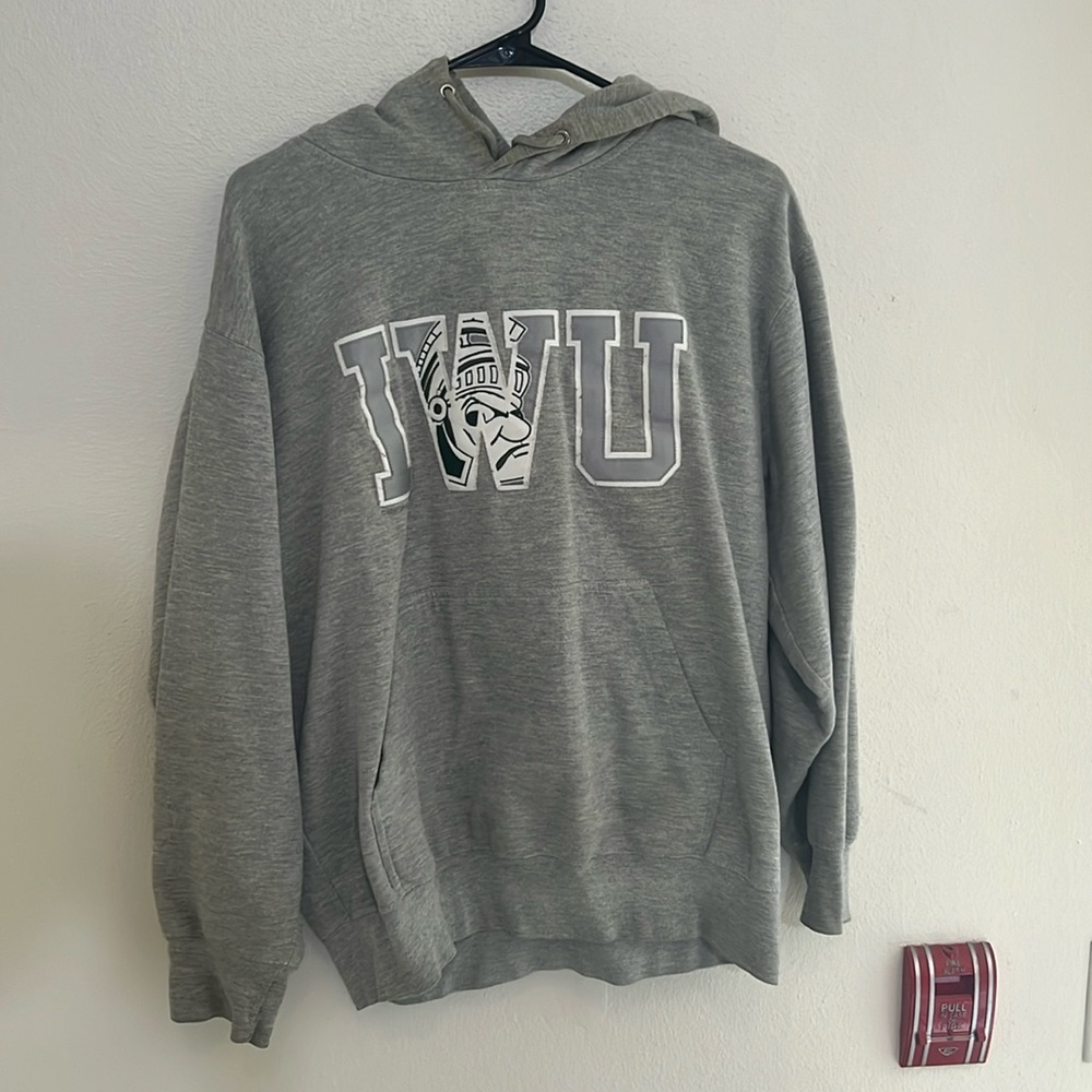 Illinois Wesleyan University sweatshirt unisex